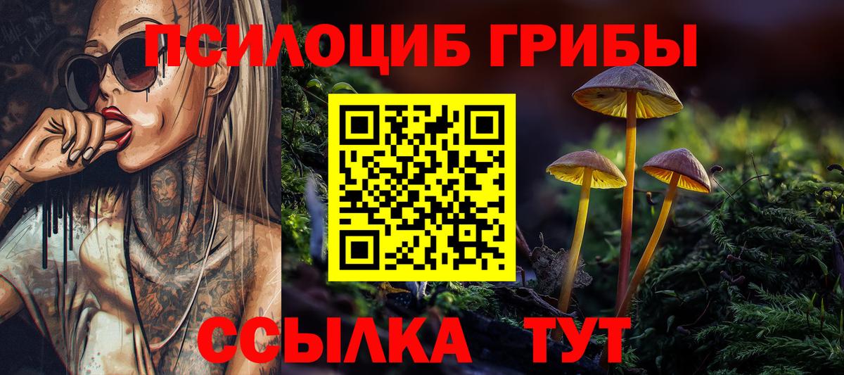 Псилоцибиновые грибы мухоморы  Галлюциногенные грибы Psilocybe  Саянск  купить   Вход с VPN 